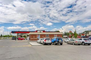 Photo 40: 95 Taradale Drive NE in Calgary: Taradale Detached for sale : MLS®# A2124103