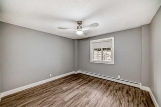 Photo 10: 304 501 57 Avenue SW in Calgary: Windsor Park Apartment for sale : MLS®# A2128054