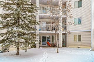 Photo 28: 1115 6224 17 Avenue SE in Calgary: Red Carpet Apartment for sale : MLS®# A2015160