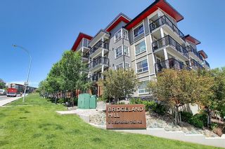 Main Photo: 423 510 Edmonton Trail NE in Calgary: Bridgeland/Riverside Apartment for sale : MLS®# A2053834