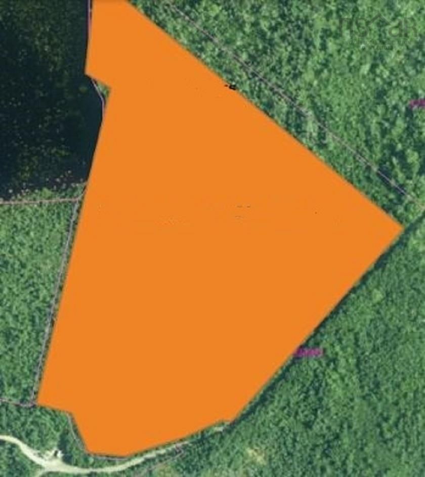 Main Photo: 17 acres Sinclair Lake Road in Gaspereaux Lake: 303-Guysborough County Vacant Land for sale (Highland Region)  : MLS®# 202217165