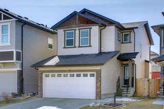 Photo 40: 139 Panora Road NW in Calgary: Panorama Hills Detached for sale : MLS®# A1199128