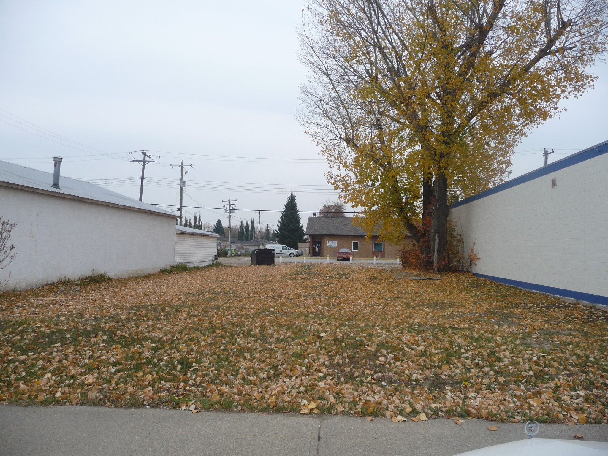 Main Photo: 5311 50 Street in Viking: Land Only for sale