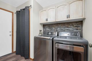 Photo 17: 153 Mt Robson Close SE in Calgary: McKenzie Lake Detached for sale : MLS®# A2087199