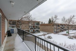 Photo 4: 32B 231 Heritage Drive SE in Calgary: Acadia Apartment for sale : MLS®# A1172862