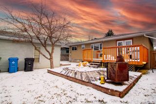 Photo 23: 9308 Allison Drive SE in Calgary: Acadia Detached for sale : MLS®# A1206863