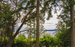 Photo 43: 4810 Cannon Cres in Pender Island: GI Pender Island House for sale (Gulf Islands)  : MLS®# 903424