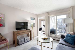 Photo 11: 214 2204 1 Street SW in Calgary: Mission Apartment for sale : MLS®# A2128244