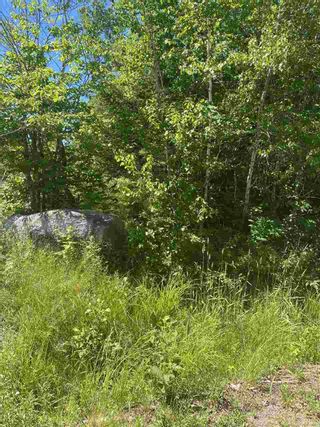 Photo 2: Lot 1 North River Road in Aylesford Lake: 404-Kings County Vacant Land for sale (Annapolis Valley)  : MLS®# 202011590