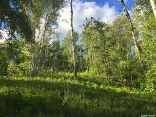 Photo 8: Lot 28 Tranquility Trail in Big River: Lot/Land for sale (Big River Rm No. 555)  : MLS®# SK887886