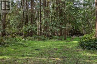 Photo 17: 0 East Rd in Denman Island: Vacant Land for sale : MLS®# 960211