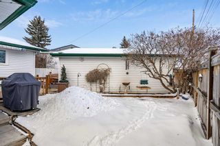 Photo 42: 76 Maple Court Crescent SE in Calgary: Maple Ridge Detached for sale : MLS®# A2106096