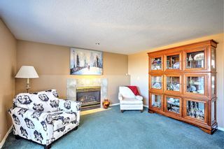 Photo 35: 319 Mt Sparrowhawk Place SE in Calgary: McKenzie Lake Detached for sale : MLS®# A1218013