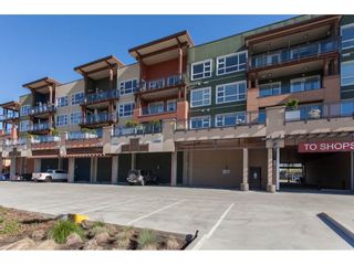 Main Photo: 223 20728 WILLOUGHBY TOWN CENTRE Drive in Langley: Willoughby Heights Condo for sale in "KENSINGTON AT WILLOUGHBY TOWN CENTER" : MLS®# R2169446
