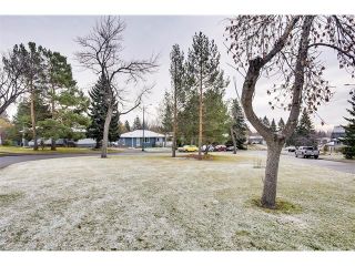 Photo 23: 4032 GROVE HILL Road SW in Calgary: Glendale House for sale : MLS®# C4088063