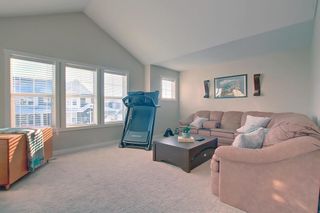 Photo 31: 149 Williamstown Park NW: Airdrie Detached for sale : MLS®# A2007088