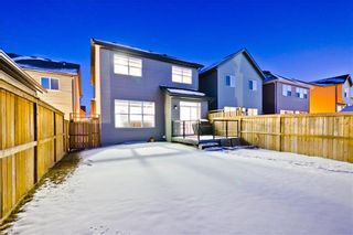 Photo 29: 142 SKYVIEW POINT CR NE in Calgary: Skyview Ranch House for sale : MLS®# C4226415