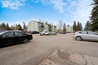 Photo 21: 412 10120 Brookpark Boulevard SW in Calgary: Braeside Apartment for sale : MLS®# A2133077