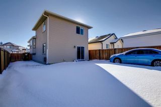 Photo 27: 60 Tarawood Grove NE in Calgary: Taradale Detached for sale : MLS®# A1224455