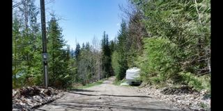 Photo 5: 2857 Vickers Trail: Anglemont House for sale (North Shuswap) 