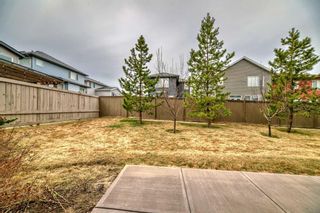 Photo 41: 310 Evansridge Common NW in Calgary: Evanston Row/Townhouse for sale : MLS®# A2128450