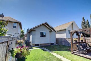 Photo 42: 51 Coville Circle NE in Calgary: Coventry Hills Detached for sale : MLS®# A1141530