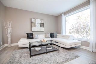 Photo 3: 562 Matheson Avenue in Winnipeg: West Kildonan Residential for sale (4D)  : MLS®# 1800622