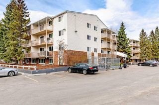 Photo 16: 401 3420 50 Street NW in Calgary: Varsity Apartment for sale : MLS®# A2127023