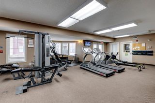 Photo 26: 426 30 Royal Oak Plaza NW in Calgary: Royal Oak Apartment for sale : MLS®# A2039105