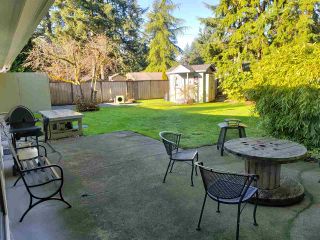 Photo 15: 20023 36A Avenue in Langley: Brookswood Langley House for sale in "Brookswood" : MLS®# R2420485