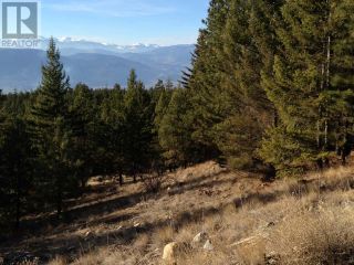 Photo 38: LOT 4 WHITETAIL Place in Osoyoos: Vacant Land for sale : MLS®# 198188