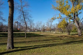 Photo 37: 203 Park Boulevard North in Winnipeg: Tuxedo Residential for sale (1E)  : MLS®# 202124925