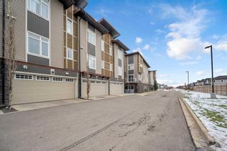 Photo 29: 508 Skyview Point Place NE in Calgary: Skyview Ranch Row/Townhouse for sale : MLS®# A2091727