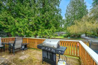 Photo 28: 4682 197 Street in Langley: Langley City House for sale : MLS®# R2655112