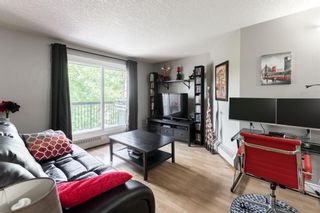 Photo 12: 304 60 38A Avenue SW in Calgary: Parkhill Apartment for sale : MLS®# A1113722