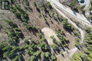 Photo 3: Lot 7 8041 McLennan Road in Vernon: Vacant Land for sale : MLS®# 10287487