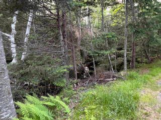 Photo 18: 23+ Acres Sonora Road in Sherbrooke: 303-Guysborough County Vacant Land for sale (Highland Region)  : MLS®# 202304811