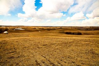 Photo 11: On Range Road 244: Rural Red Deer County Residential Land for sale : MLS®# A2034530