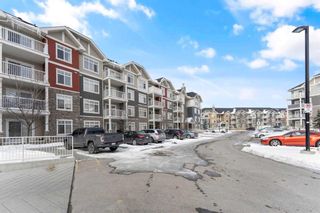 Photo 3: 6304 155 Skyview Ranch Way NE in Calgary: Skyview Ranch Apartment for sale : MLS®# A2124102