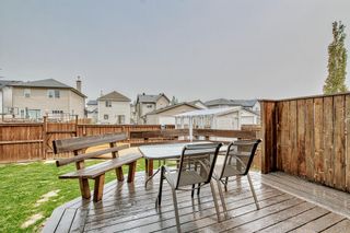 Photo 36: 449 Evanston View NW in Calgary: Evanston Detached for sale : MLS®# A2049902