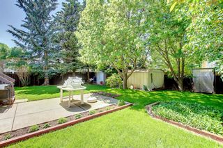 Photo 49: 259 Silvergrove Place NW in Calgary: Silver Springs Detached for sale : MLS®# A1235643
