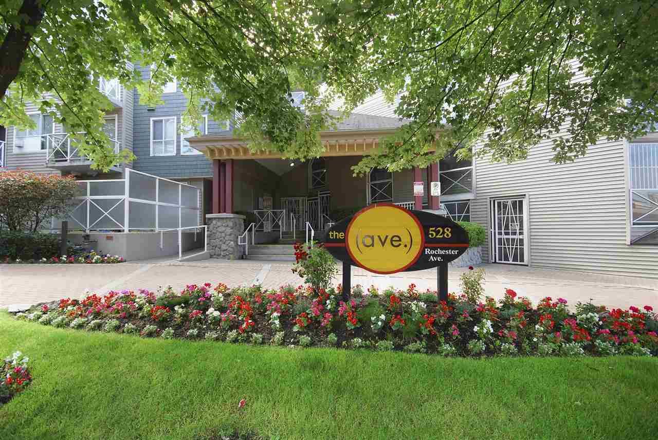 Main Photo: 322 528 ROCHESTER Avenue in Coquitlam: Coquitlam West Condo for sale in "The Ave" : MLS®# R2279249