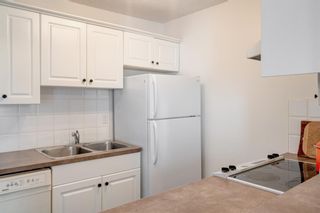 Photo 8: 303 607 7 Avenue NE in Calgary: Renfrew Apartment for sale : MLS®# A2033863