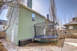 Photo 35: 308 Prestwick Estate Way SE in Calgary: McKenzie Towne Detached for sale : MLS®# A1199749