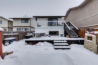 Photo 34: 136 Templeby Place NE in Calgary: Temple Detached for sale : MLS®# A2014762