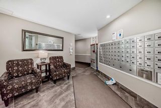 Photo 29: 211 260 Shawville Way SE in Calgary: Shawnessy Apartment for sale : MLS®# A2129170