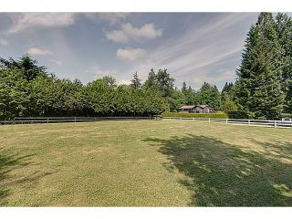 Photo 38: 25990 116TH Avenue in Maple Ridge: Websters Corners House for sale : MLS®# V1097441