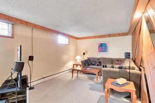 Photo 26: 224 Cardiff Drive NW in Calgary: Cambrian Heights Detached for sale : MLS®# A2123483