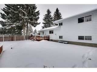 Photo 24: 2339 PALISADE Drive SW in Calgary: Palliser House for sale : MLS®# C4044298
