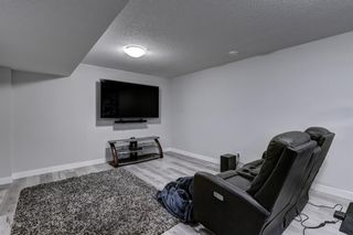 Photo 25: 306 Bayside Crescent SW: Airdrie Detached for sale : MLS®# A2042157